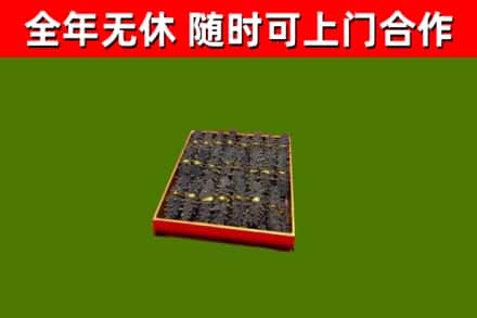 洛江区回收海参
